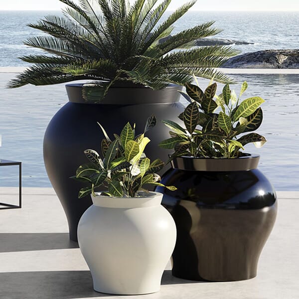 Venus Planters